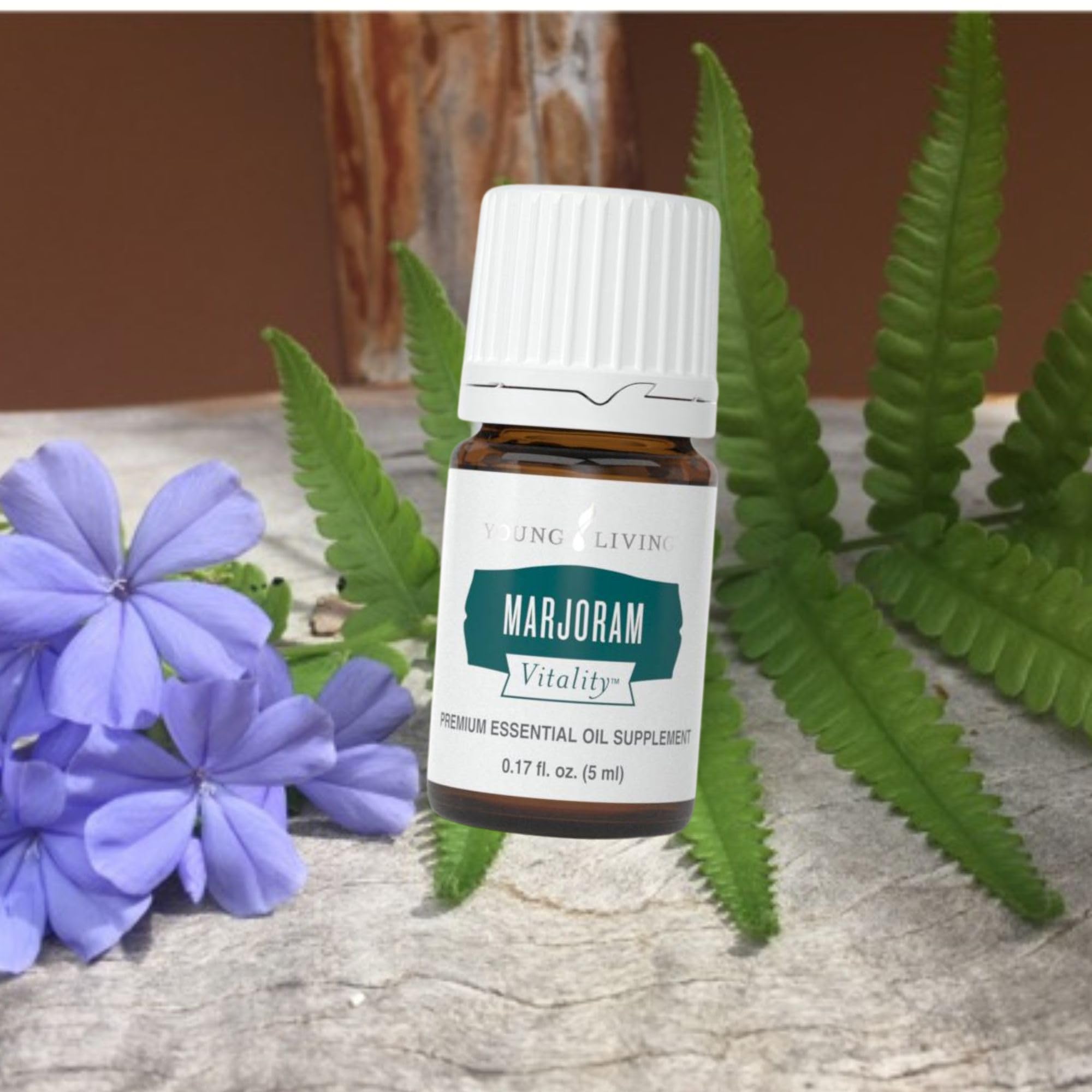 Amazon.com: Young Living Marjoram Vitality 5ml - Delicious Herbal